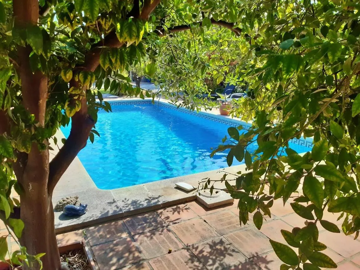Bed & Breakfast Escuela La Crujia Bed and Breakfast Velez Malaga