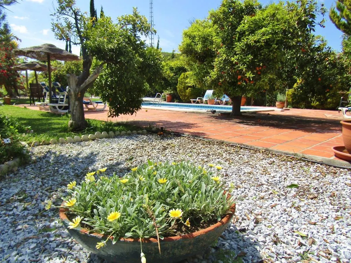 Escuela La Crujia Bed and Breakfast Velez Malaga Bed & Breakfast