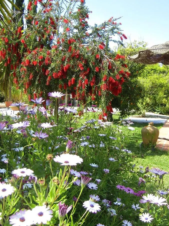 Bed & Breakfast Escuela La Crujia Bed and Breakfast Velez Malaga Spanje