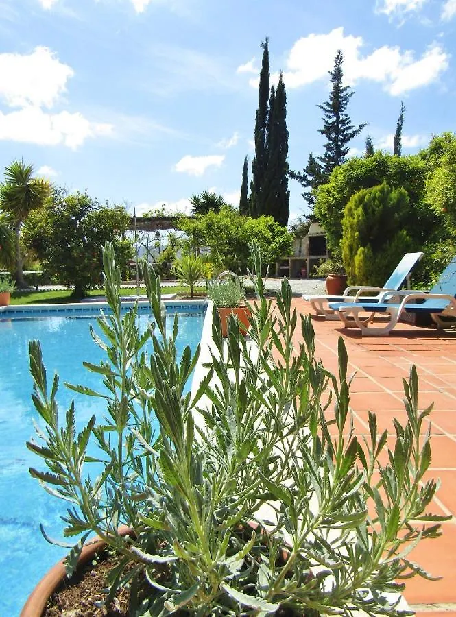 Bed & Breakfast Escuela La Crujia Bed and Breakfast Velez Malaga